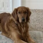 Profile photo of Justin Kruger