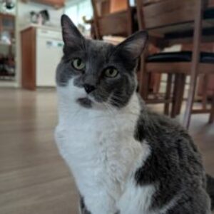 Profile photo of Angie S